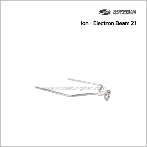 Ion · Electron Beam 21