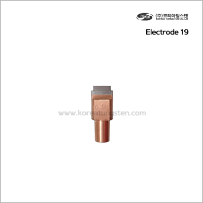 Electrode 19